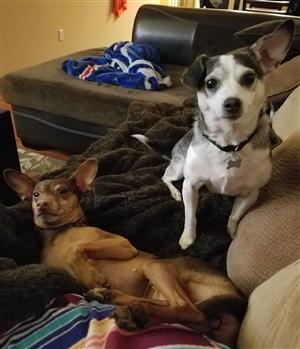 Chillin' on the couch 