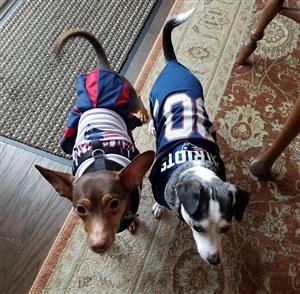 Kobe and Coco ready for game time! 