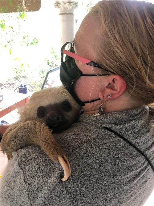 sloth hug