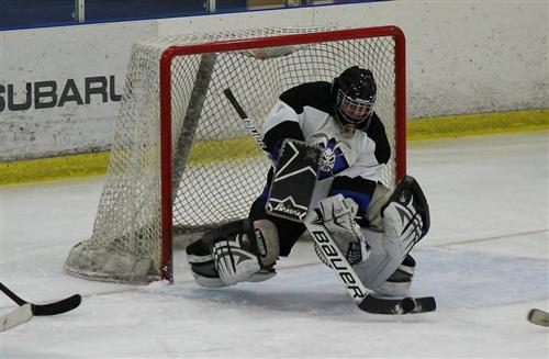 Playing Hockey 