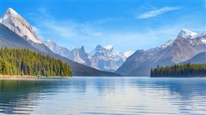 The Calm App 